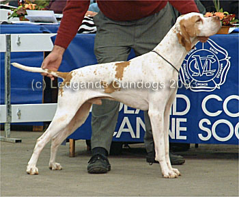 4th Open Dog